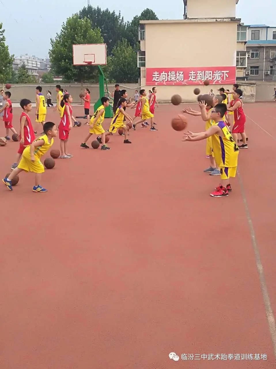 如何通过数据分析优化篮板训练效果?_1